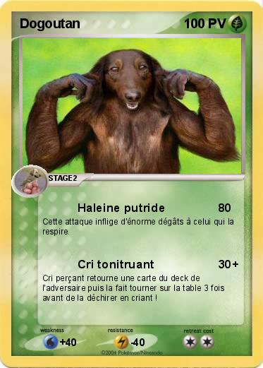 Pokemon Dogoutan