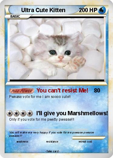 Pokemon Ultra Cute Kitten