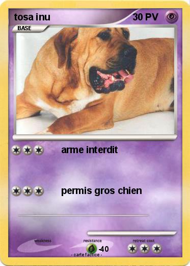 Pokemon tosa inu
