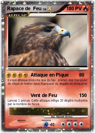 Pokemon Rapace de  Feu