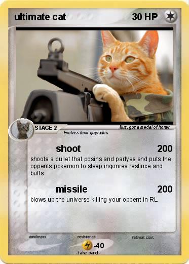 Pokemon ultimate cat