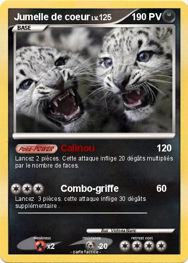 Pokemon Jumelle de coeur