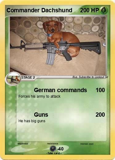 Pokemon Commander Dachshund