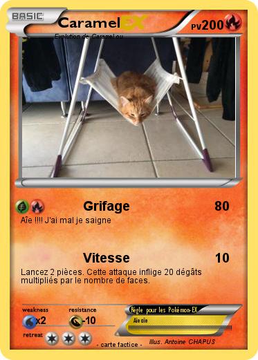 Pokemon Caramel