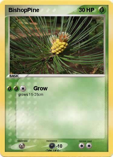 Pokemon BishopPine