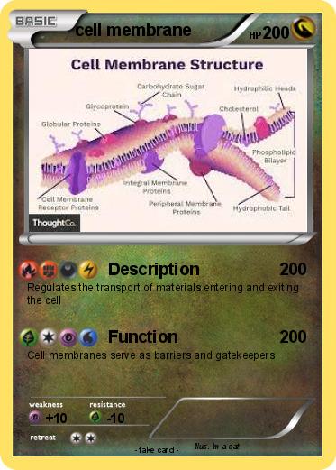 Pokemon cell membrane
