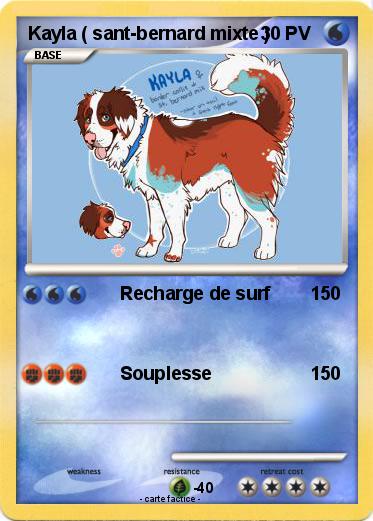 Pokemon Kayla ( sant-bernard mixte )