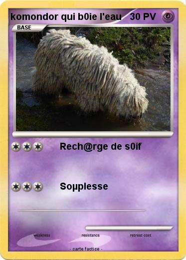 Pokemon komondor qui b0ie l'eau
