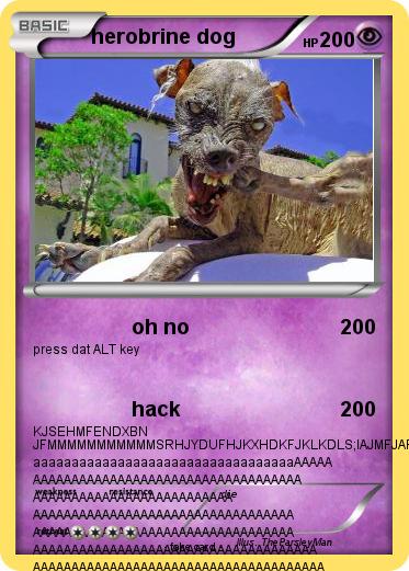 Pokemon herobrine dog