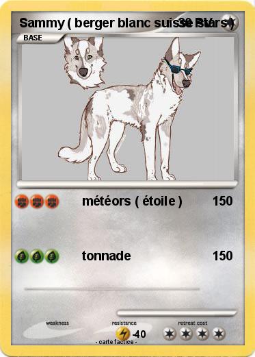 Pokemon Sammy ( berger blanc suisse stars )