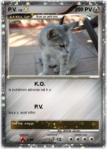 Pokemon P.V.