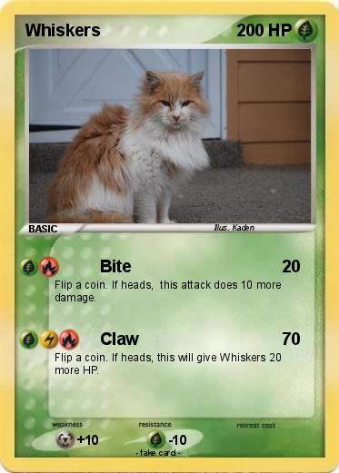 Pokemon Whiskers