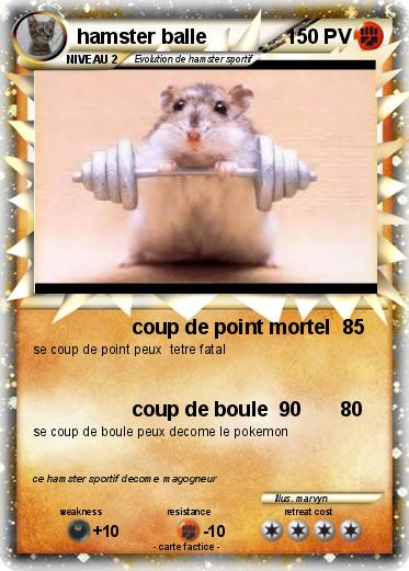 Pokemon hamster balle
