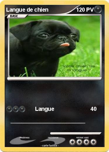Pokemon Langue de chien