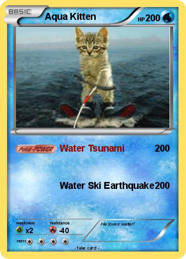Pokemon Aqua Kitten