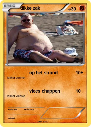 Pokemon dikke zak
