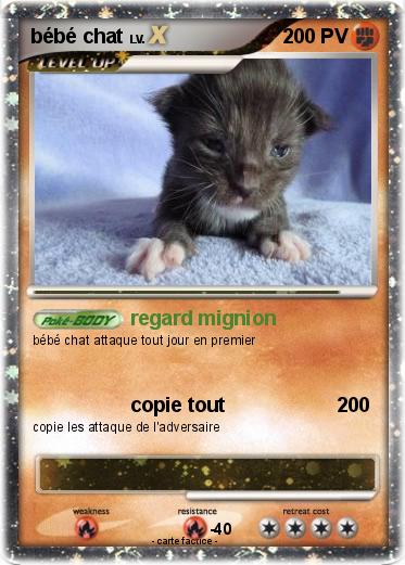 Pokemon bébé chat