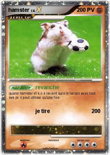 Pokemon hamster