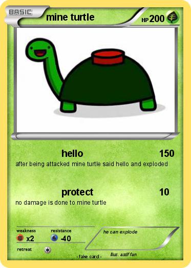 Pokemon mine turtle
