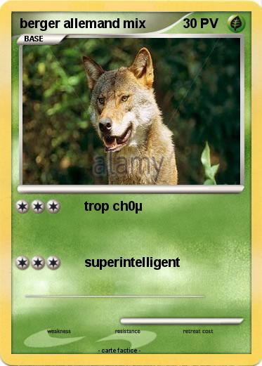 Pokemon berger allemand mix