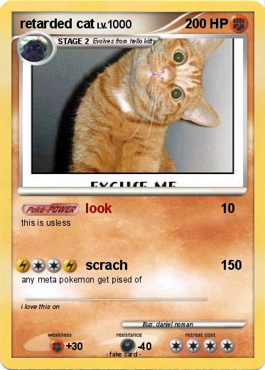 Pokemon retarded cat