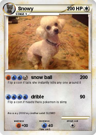 Pokemon Snowy