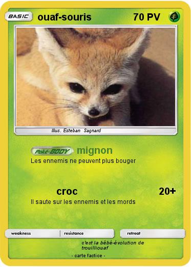 Pokemon ouaf-souris