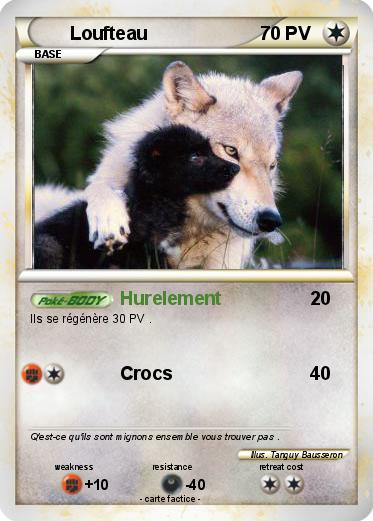 Pokemon Loufteau