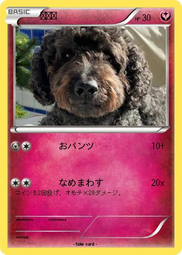 Pokemon フラウ