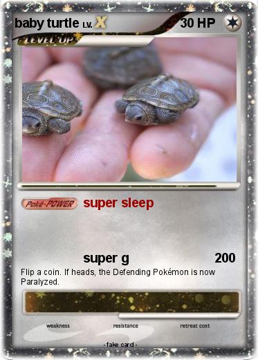 Pokemon baby turtle