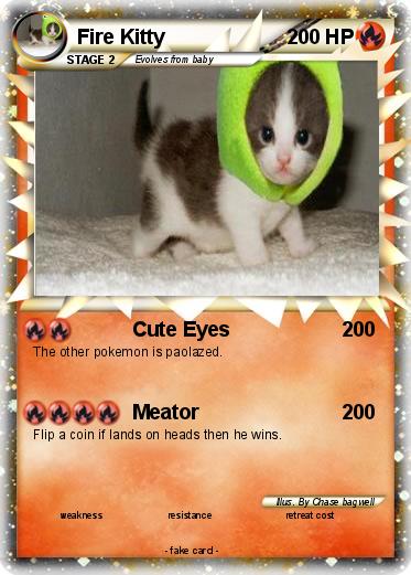 Pokemon Fire Kitty