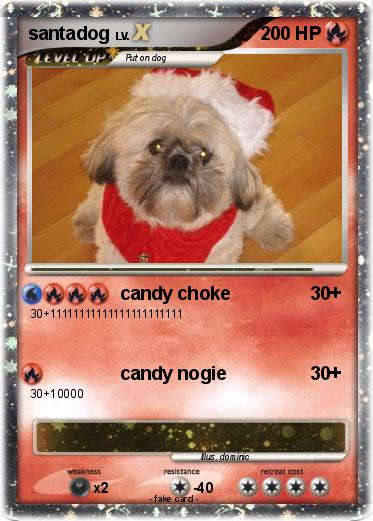 Pokemon santadog