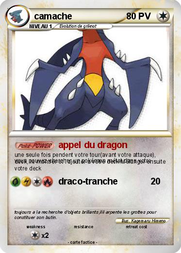 Pokemon camache