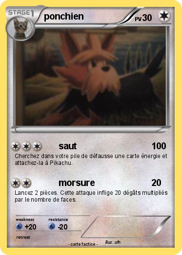 Pokemon ponchien