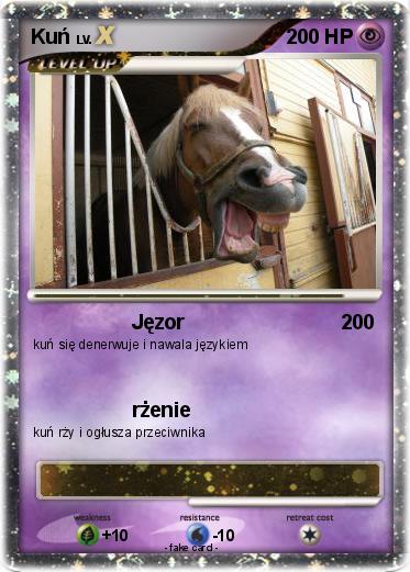 Pokemon Kuń