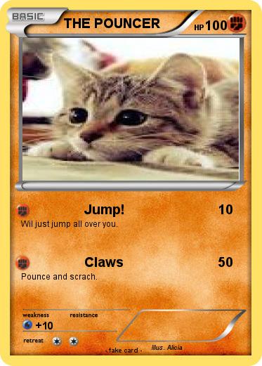 Pokemon THE POUNCER
