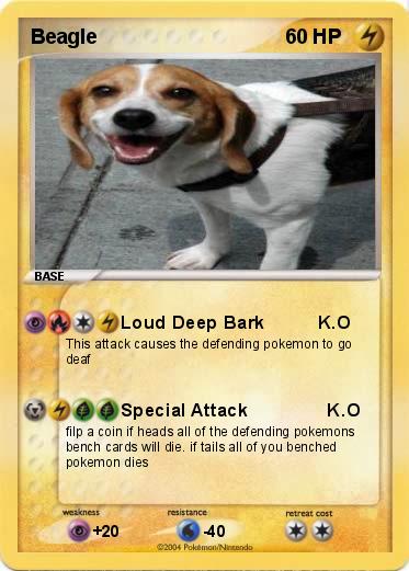 Pokemon Beagle