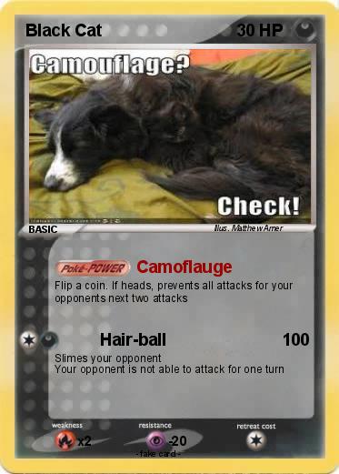 Pokemon Black Cat
