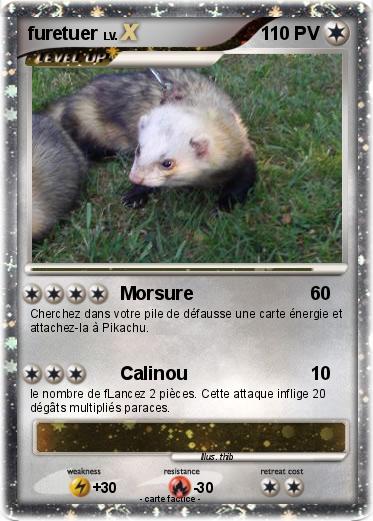 Pokemon furetuer