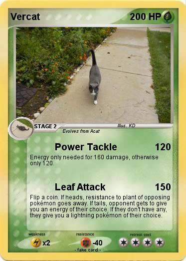 Pokemon Vercat