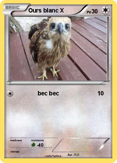 Pokemon Ours blanc X