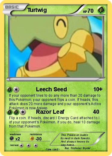 Pokemon Turtwig