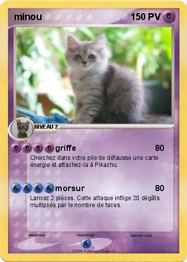 Pokemon minou