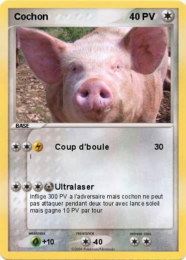 Pokemon Cochon 