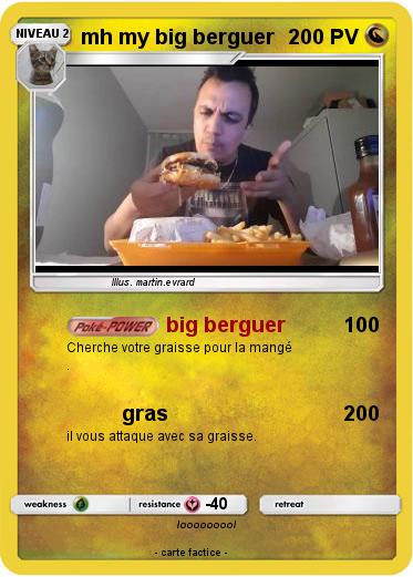 Pokemon mh my big berguer