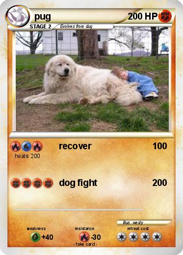 Pokemon pug