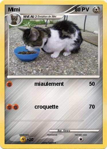 Pokemon Mimi