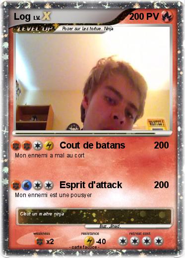 Pokemon Log