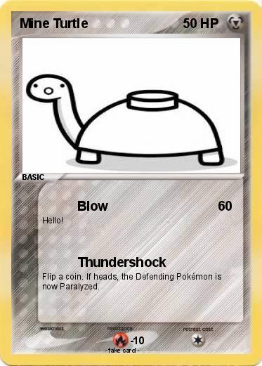 Pokemon Mine Turtle