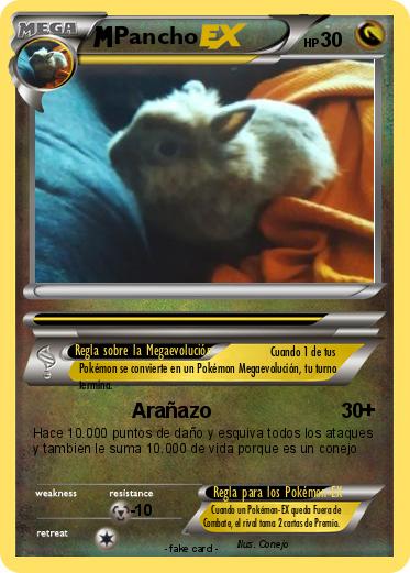 Pokemon Pancho